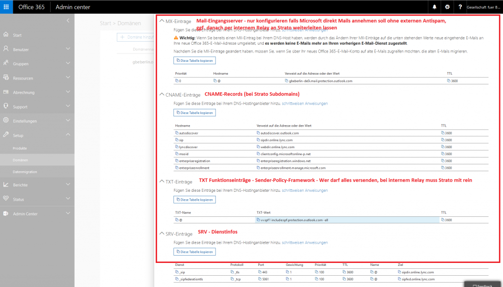 Abbildung 7: Liste der Microsoft Service-Records